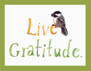victory programs news eventsvictory programs 2018 gratitude dinner