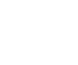 logo-icon