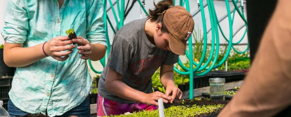 ReVision Urban Farm