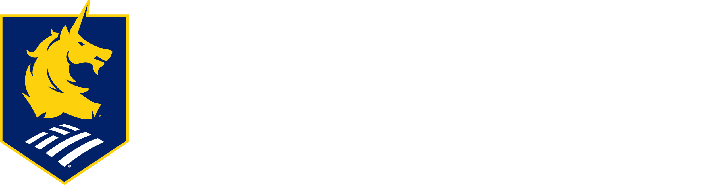 BofA_BM_Charity_h_r_rgb_yellow_stroke